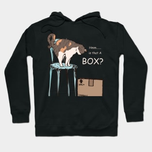 Is that a Box funny cute doodle cat t-shirt Hoodie